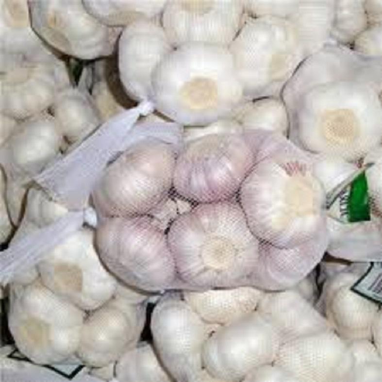 HOME-GROWN VIETNAMESE GARLIC – FARM-FRESH, NATURAL & WHOLESALE EXPORT SUPPLY