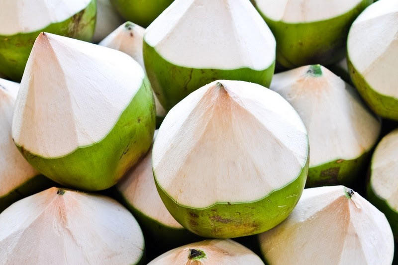 FRESH WHOLE-SHELL BEN TRE COCONUT – GRADE A, VACUUM-PACKED & WHOLESALE EXPORT SUPPLY 4
