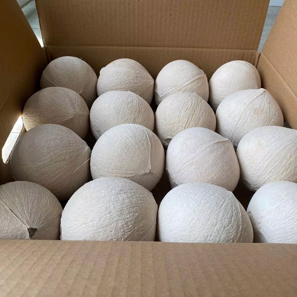 NATURAL FRESH VIETNAMESE COCONUT – TENDER MEAT, CLEAR WATER & TROPICAL BEVERAGE SUPPLY