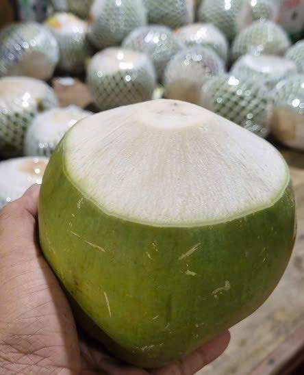 NATURAL FRESH VIETNAMESE COCONUT – TENDER MEAT, CLEAR WATER & TROPICAL BEVERAGE SUPPLY 4