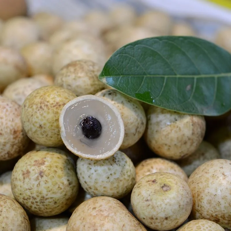 VIETGAP-CERTIFIED LONGAN FROM VIETNAM – PREMIUM QUALITY, NATURAL SWEETNESS & WHOLESALE EXPORT SUPPLY