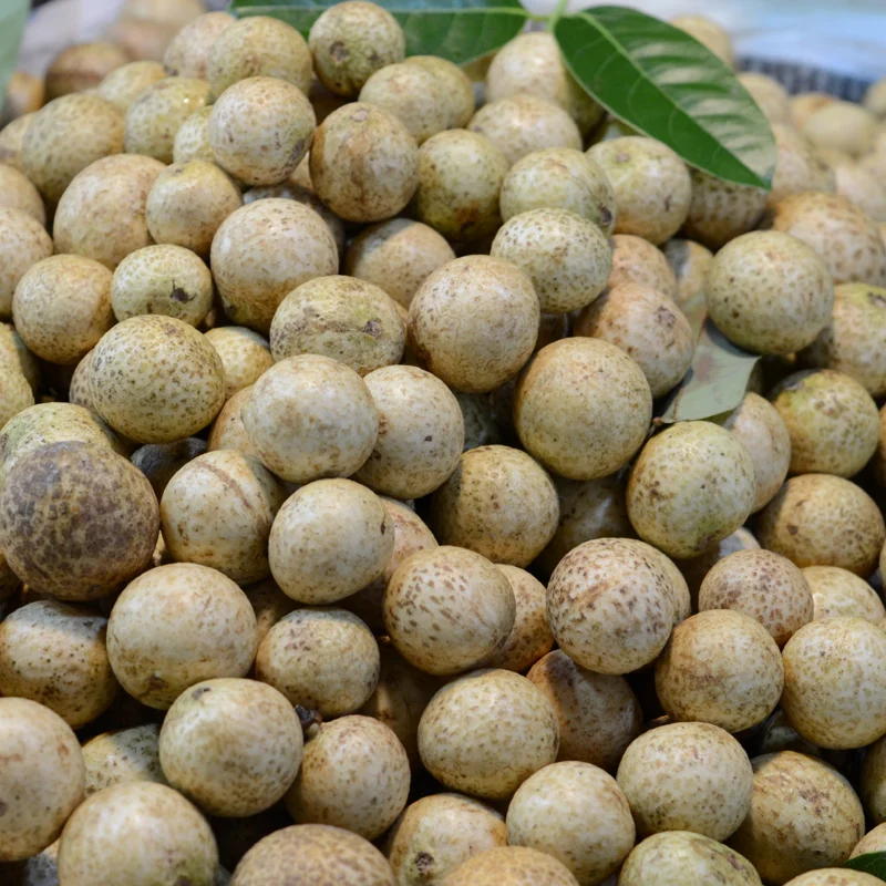 VIETGAP-CERTIFIED LONGAN FROM VIETNAM – PREMIUM QUALITY, NATURAL SWEETNESS & WHOLESALE EXPORT SUPPLY 2