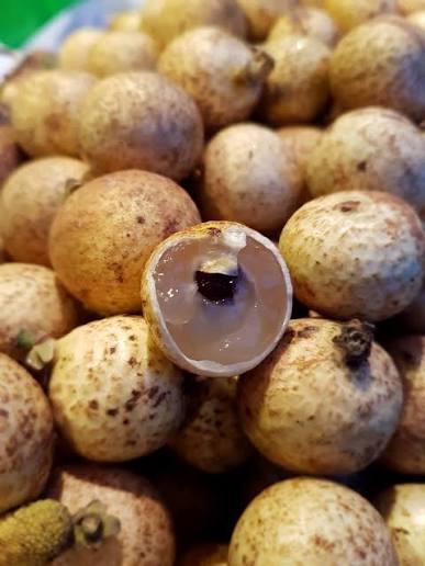 VIETGAP-CERTIFIED LONGAN FROM VIETNAM – PREMIUM QUALITY, NATURAL SWEETNESS & WHOLESALE EXPORT SUPPLY 4