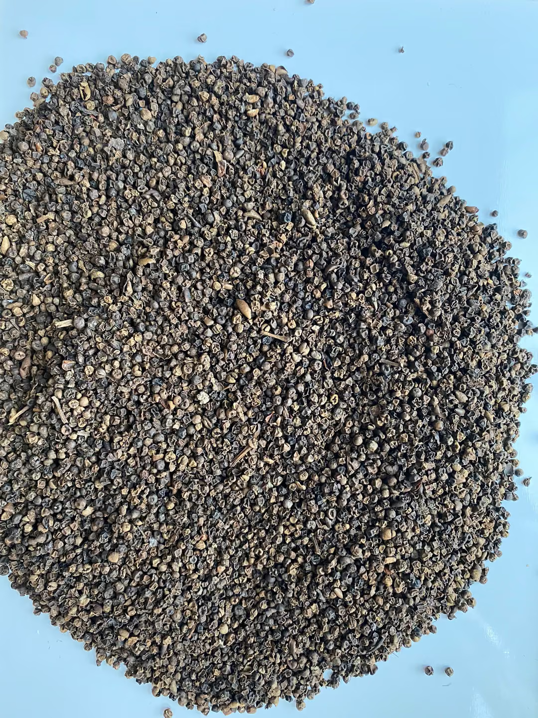 CLEANED NAIL-HEAD BLACK PEPPER FROM VIETNAM – WHOLE PEPPERCORNS, SPICY & WHOLESALE EXPORT SUPPLY 2