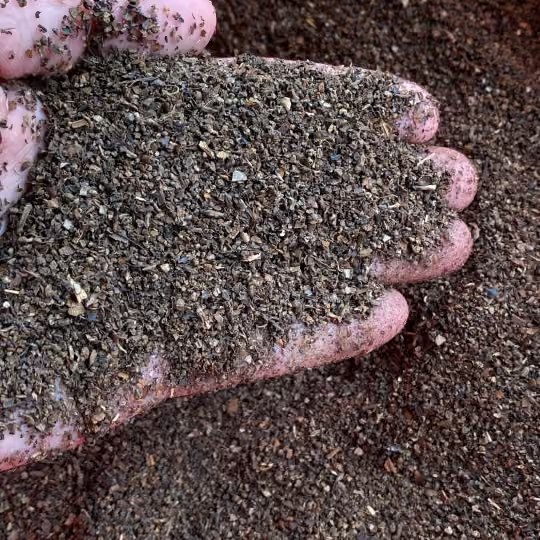 CLEANED NAIL-HEAD BLACK PEPPER FROM VIETNAM – WHOLE PEPPERCORNS, SPICY & WHOLESALE EXPORT SUPPLY 3
