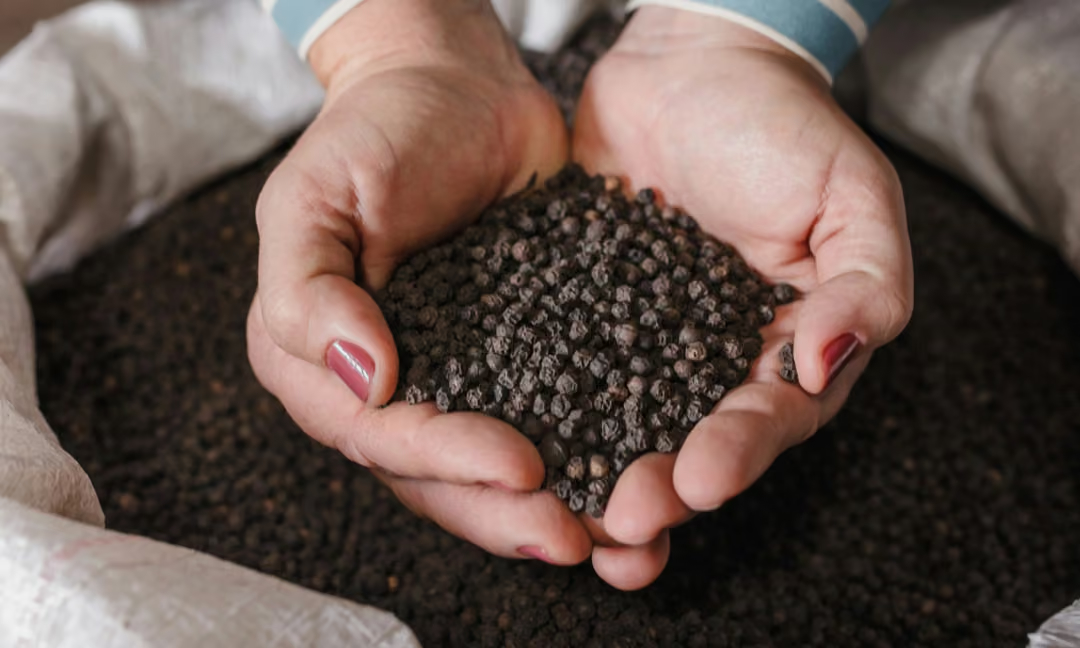 ORGANIC BLACK PEPPER 200G – FIRM PEPPERCORNS, AROMATIC & NATURALLY SPICY