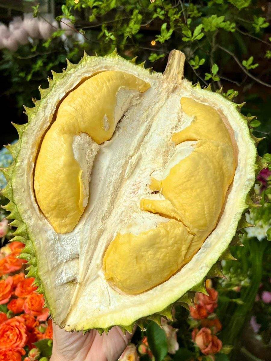 PREMIUM FROZEN FRESH DURIAN – VIETNAM | HAND-SELECTED, MILD FLAVOR & OEM/ODM 3