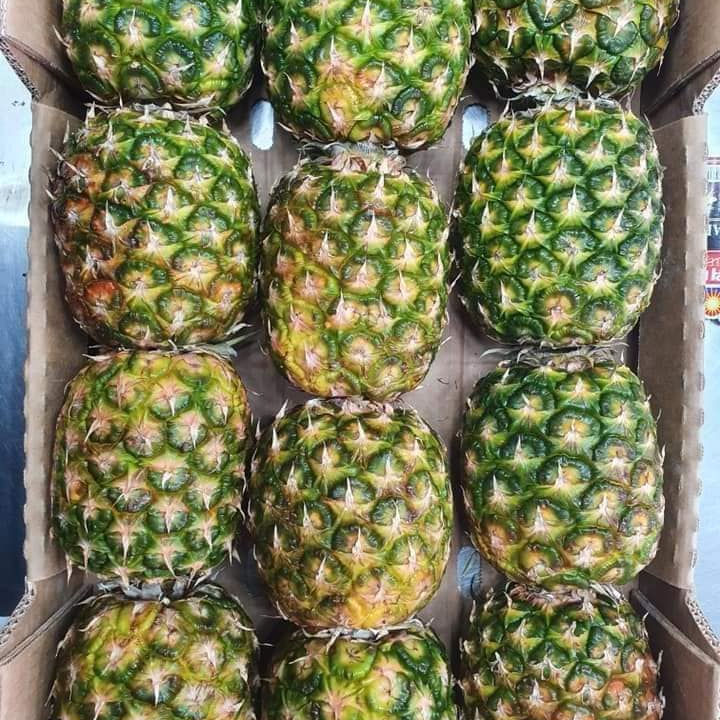 PREMIUM FRESH YELLOW PINEAPPLE – VIETNAM | JUICY TROPICAL FRUIT FOR WHOLESALE & EXPORT