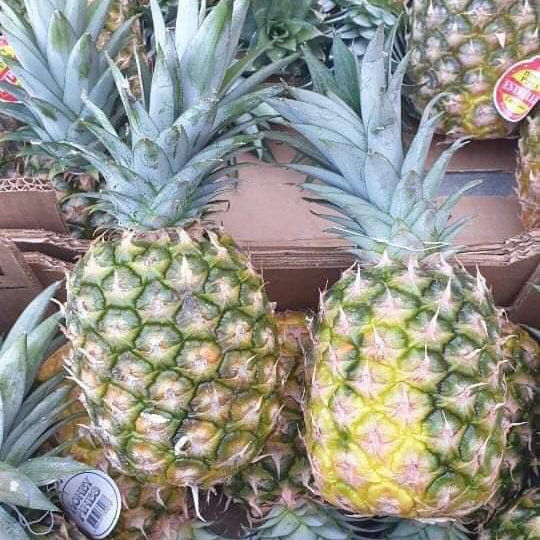 PREMIUM FRESH YELLOW PINEAPPLE – VIETNAM | JUICY TROPICAL FRUIT FOR WHOLESALE & EXPORT 3