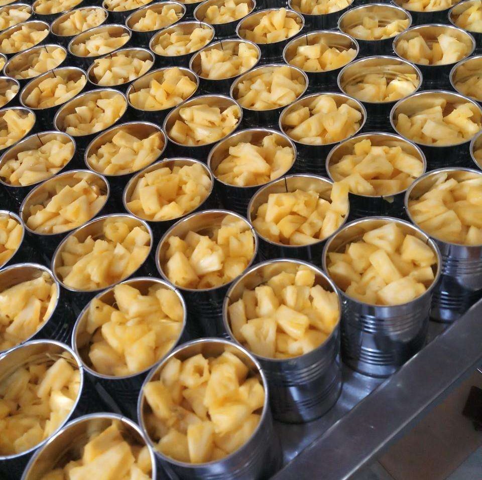 HIGH-QUALITY CANNED PINEAPPLE – VIETNAM | PREMIUM TROPICAL FRUIT FOR WHOLESALE & EXPORT