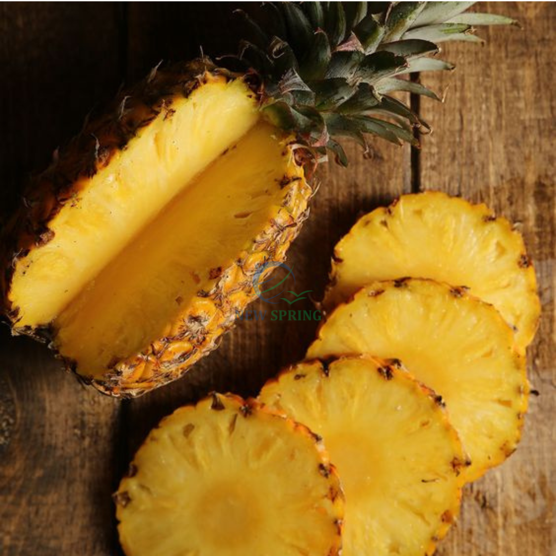 FROZEN PINEAPPLE SLICES – VIETNAM | SWEET FRESH-CROP TROPICAL FRUIT FOR WHOLESALE & EXPORT 2