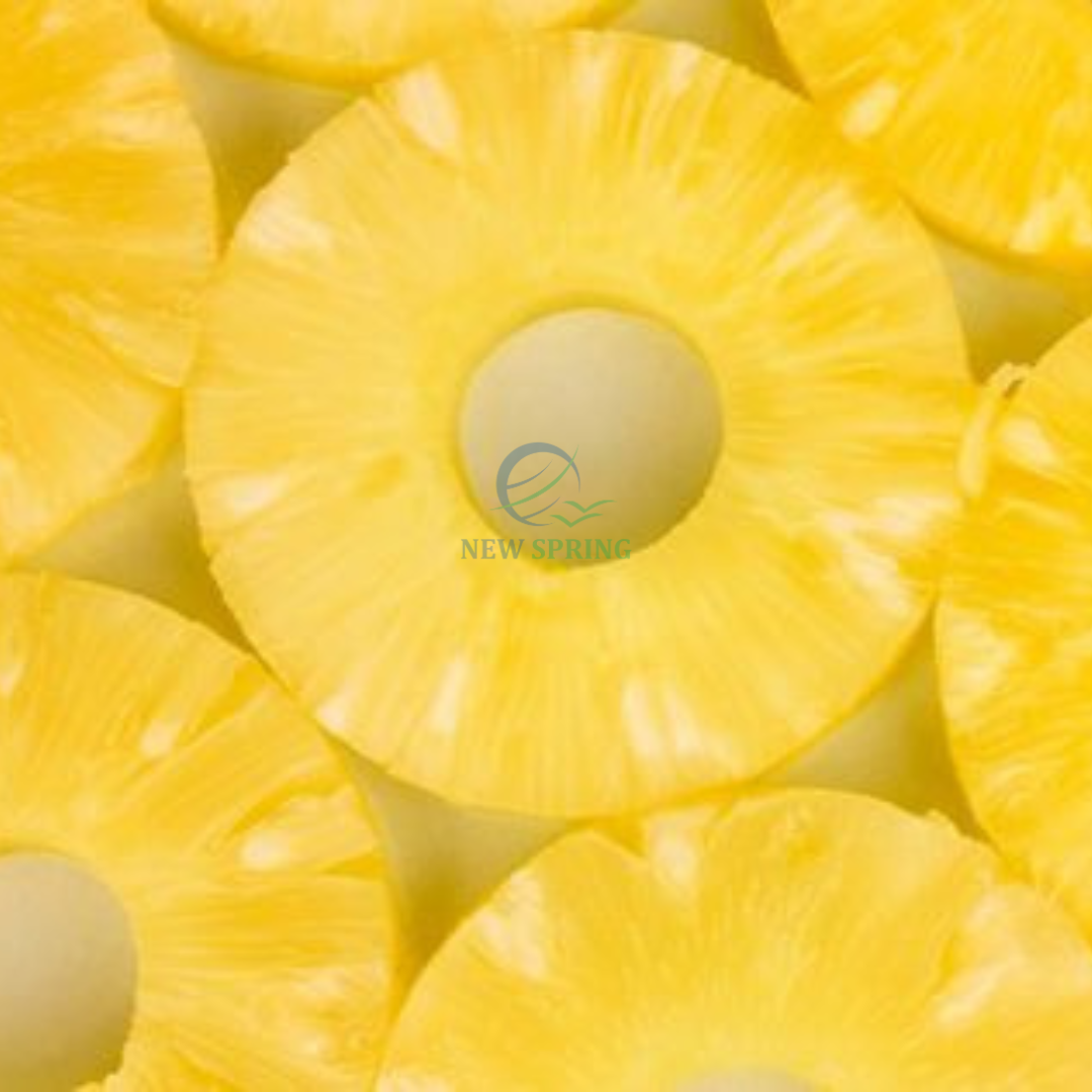 FROZEN PINEAPPLE SLICES – VIETNAM | SWEET FRESH-CROP TROPICAL FRUIT FOR WHOLESALE & EXPORT 3