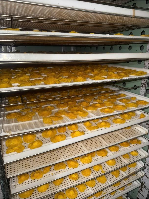 VIETNAMESE DRIED PINEAPPLE – BULK WHOLESALE & OEM PACKAGING | GLOBAL B2B SUPPLY 3