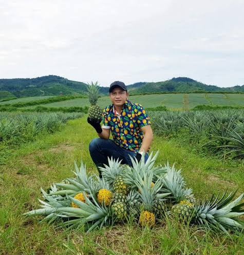 DONG NAI PINEAPPLE – VIETNAM | SWEET & JUICY FRESH TROPICAL FRUIT FOR WHOLESALE & EXPORT
