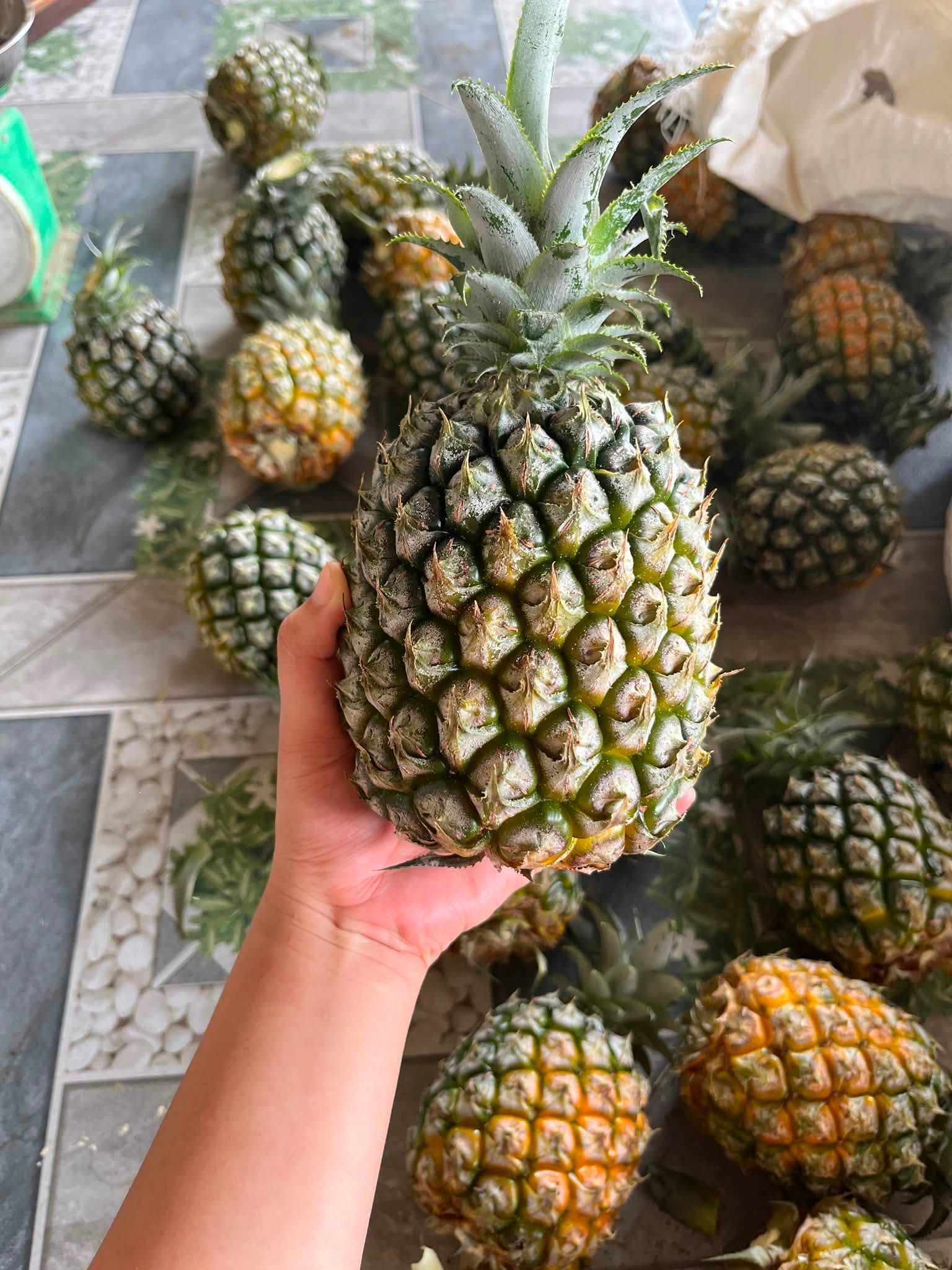 DONG NAI PINEAPPLE – VIETNAM | SWEET & JUICY FRESH TROPICAL FRUIT FOR WHOLESALE & EXPORT 2