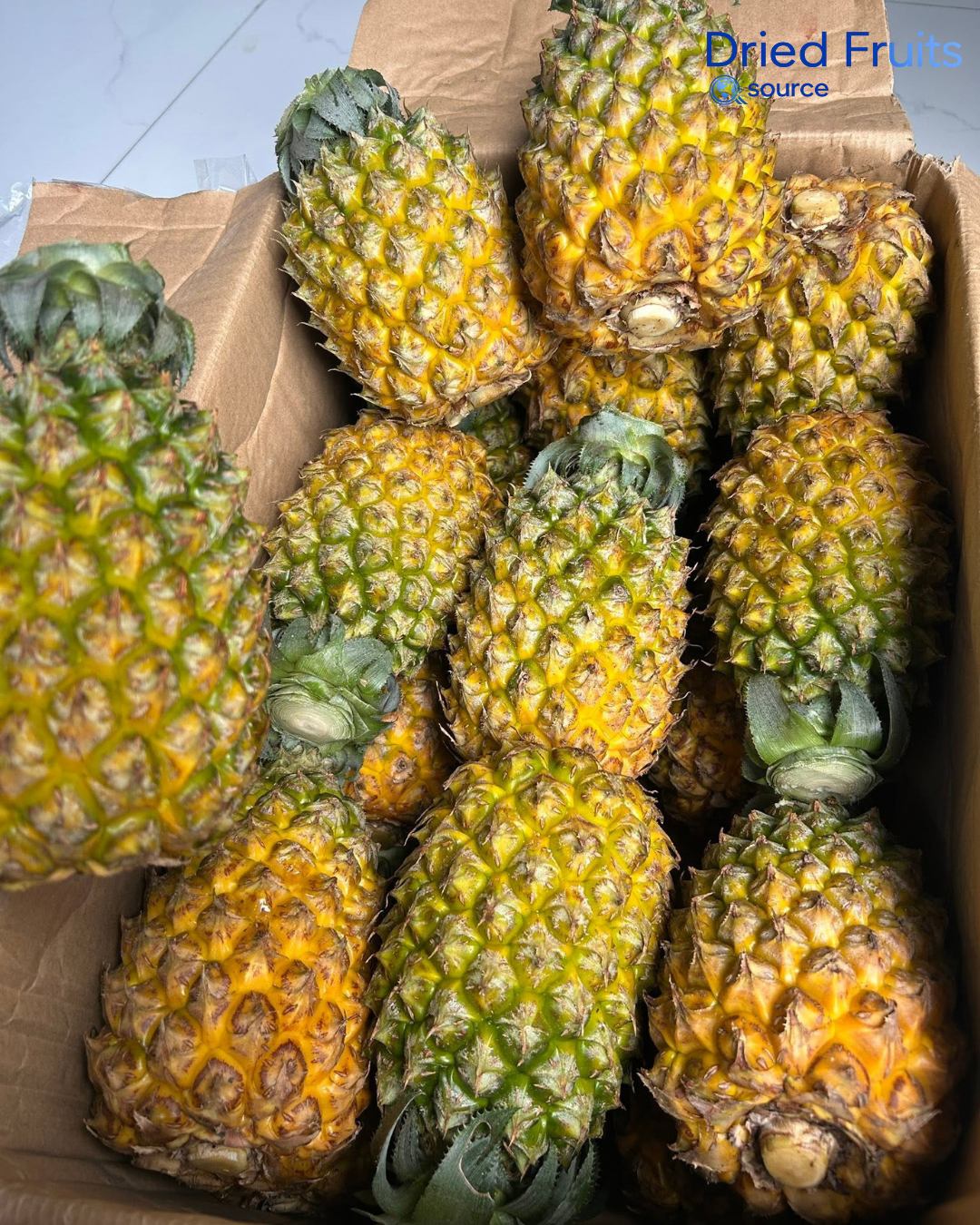 SOFT-DRIED MD2 PINEAPPLE – VIETNAM | NO ADDED SUGAR SNACK WITH OEM & ODM 3