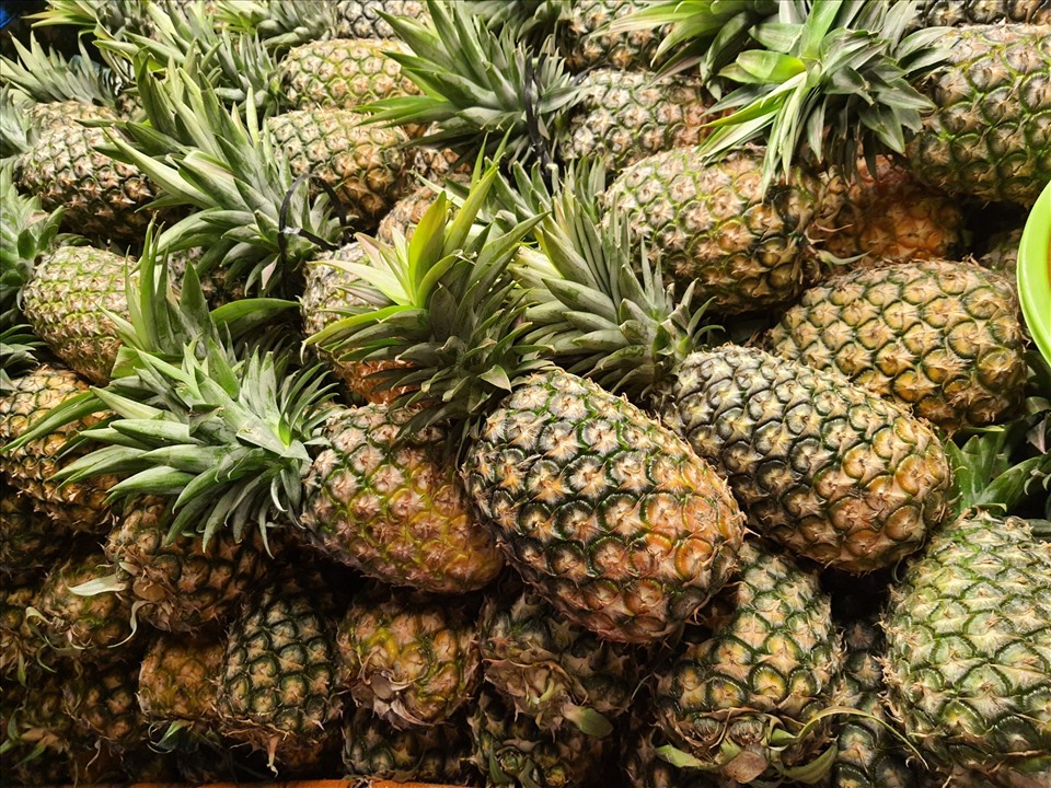 100G CHILI-SALT SOFT-DRIED DALAT PINEAPPLE – VIETNAM | SPICY TROPICAL FRUIT SNACK 3