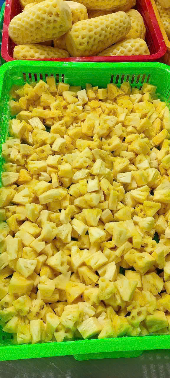 FROZEN PINEAPPLE – VIETNAM | BULK TROPICAL FRUIT FOR SMOOTHIES, JUICE & FOODSERVICE 2