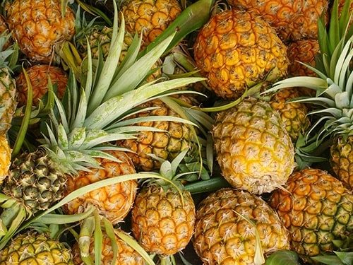 HAND-HARVESTED ORGANIC FROZEN PINEAPPLE – VIETNAM | NO ADDED SUGAR TROPICAL FRUIT 4