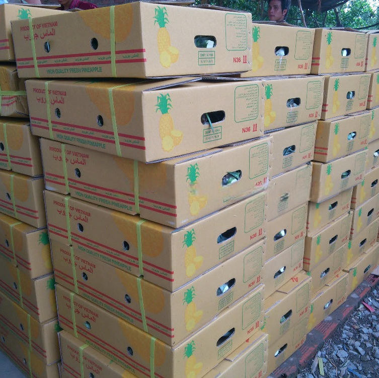 FRESH GOLDEN SWEET PINEAPPLE – VIETNAM | NATURAL TROPICAL FRUIT FOR WHOLESALE & EXPORT