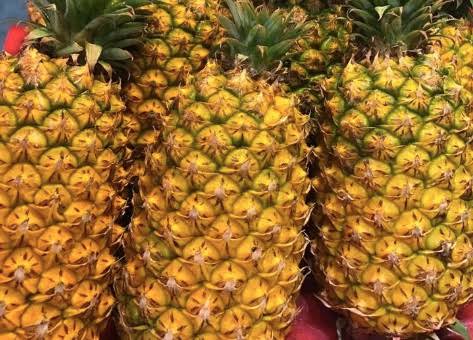 FRESH GOLDEN SWEET PINEAPPLE – VIETNAM | NATURAL TROPICAL FRUIT FOR WHOLESALE & EXPORT 4