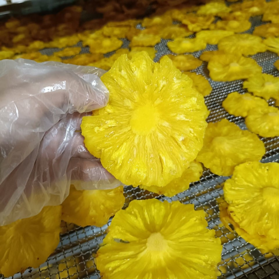 SOFT-DRIED PINEAPPLE – VIETNAM | TROPICAL FRUIT SNACK FOR WHOLESALE & EXPORT 3