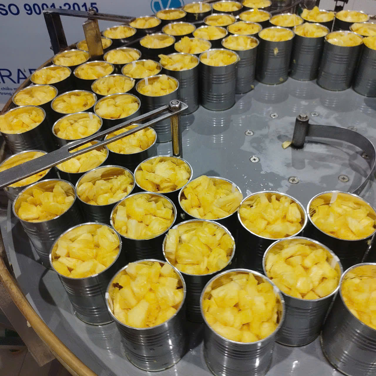 PREMIUM CANNED PINEAPPLE 580ML – VIETNAM | PINEAPPLE PIECES IN LIGHT SYRUP FOR EXPORT
