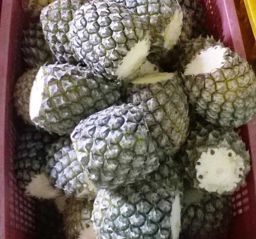 PREMIUM CANNED PINEAPPLE 580ML – VIETNAM | PINEAPPLE PIECES IN LIGHT SYRUP FOR EXPORT 4