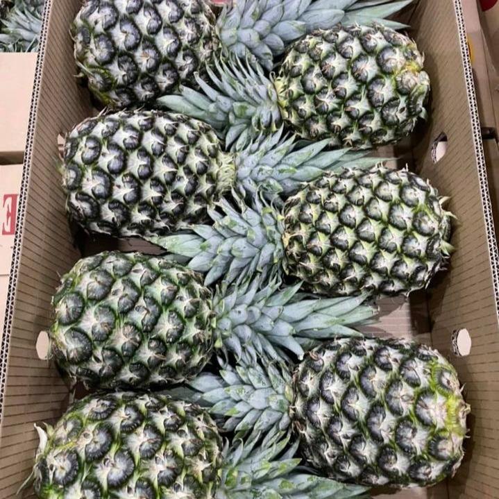 ROYAL GOLDEN MD2 PINEAPPLE – VIETNAM | FRESH NATURAL YELLOW FRUIT 8–10KG/CTN