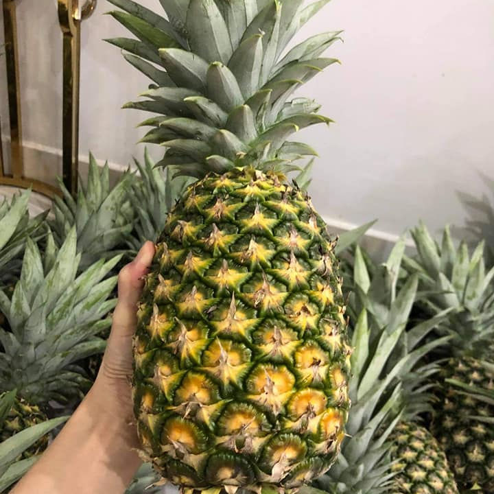 ROYAL GOLDEN MD2 PINEAPPLE – VIETNAM | FRESH NATURAL YELLOW FRUIT 8–10KG/CTN 2