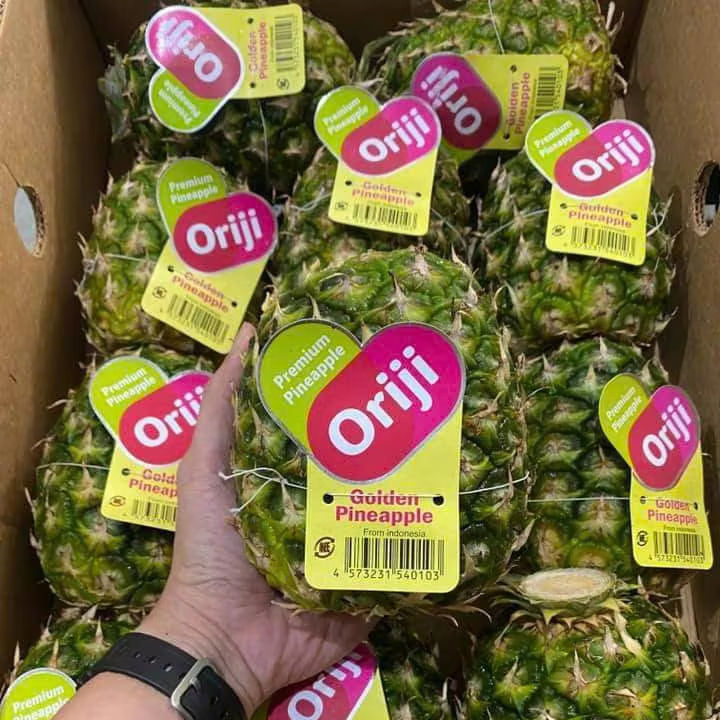 FRESH PINEAPPLE – VIETNAM | HIGH-QUALITY WHOLESALE TROPICAL FRUIT