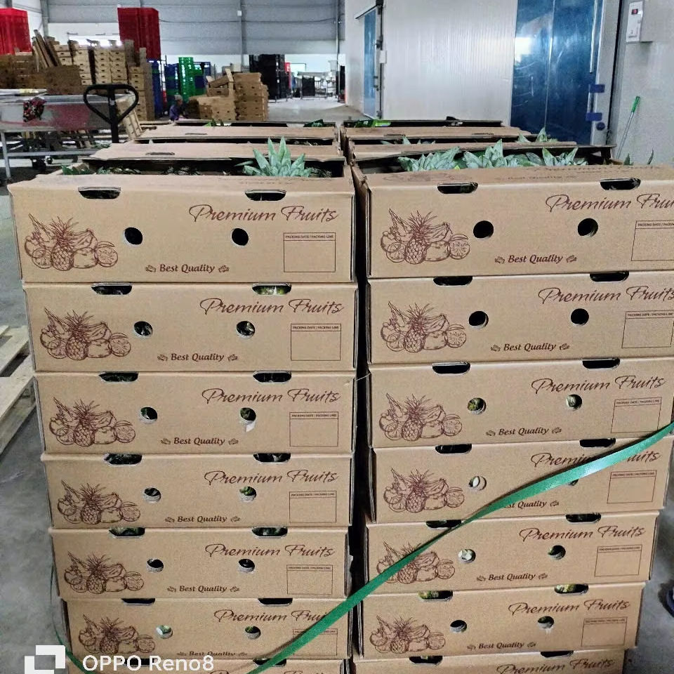 FRESH PINEAPPLE – VIETNAM | HIGH-QUALITY WHOLESALE TROPICAL FRUIT 2