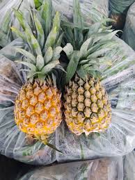 QUANG NAM PINEAPPLE – VIETNAM | FRESH TROPICAL FRUIT FOR WHOLESALE & EXPORT 4
