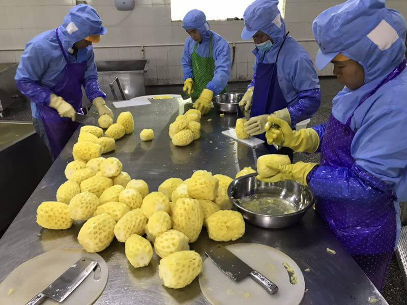 PREMIUM FROZEN PINEAPPLE – VIETNAM | TROPICAL FRUIT FOR SMOOTHIES, JUICE & FOOD PROCESSING 3