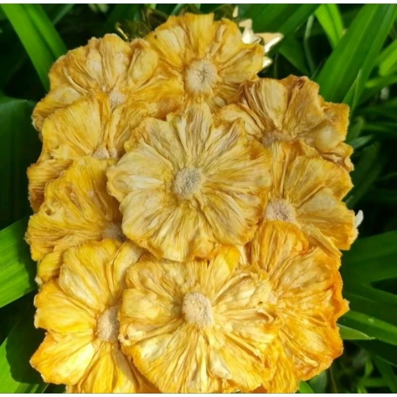 SUGAR-FREE SOFT-DRIED PINEAPPLE – VIETNAM | NATURAL SWEET-TANGY FRUIT FOR TEA, BAKERY & DECORATION 3