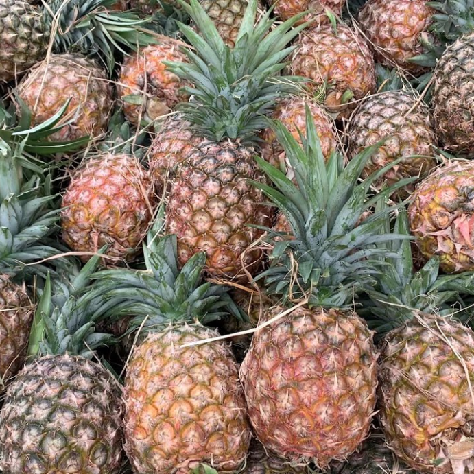 PREMIUM IQF FROZEN PINEAPPLE SLICES – VIETNAM | VACUUM-PACKED BULK OEM & PRIVATE LABEL 4