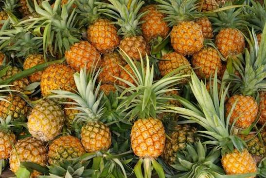 SOFT-DRIED PINEAPPLE FLOWER – VIETNAM | PURE NO-ADDED-SUGAR TROPICAL FRUIT SNACK 4