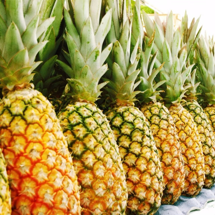 PREMIUM FRESH PINEAPPLE – VIETNAM | HIGH-QUALITY TROPICAL FRUIT FOR WHOLESALE & EXPORT