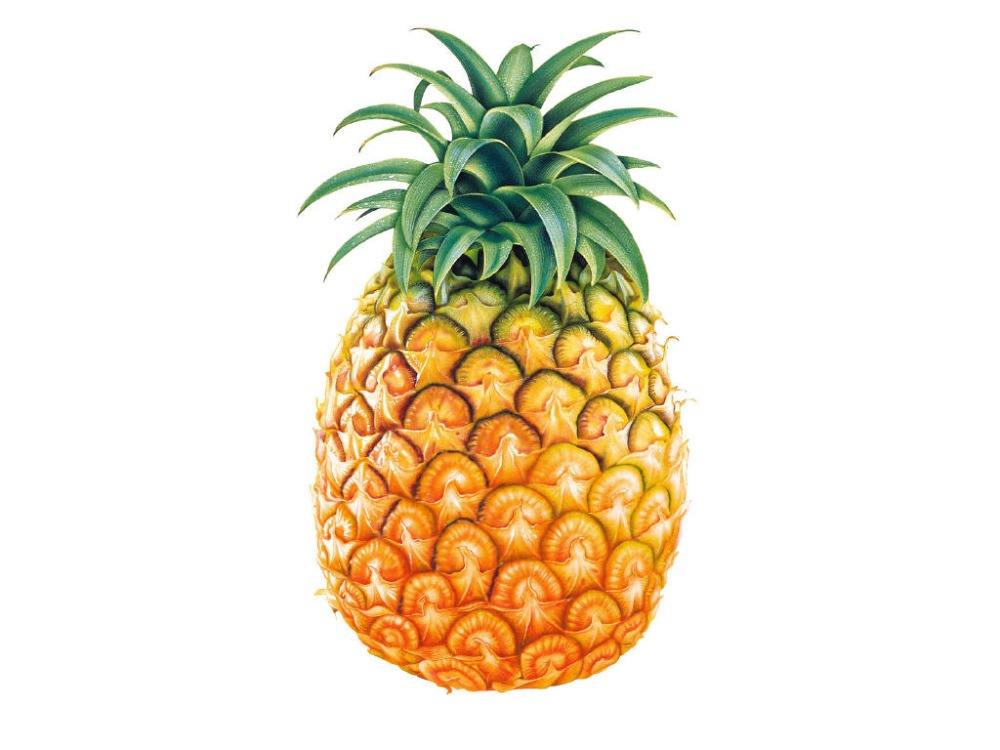 PREMIUM FRESH PINEAPPLE – VIETNAM | HIGH-QUALITY TROPICAL FRUIT FOR WHOLESALE & EXPORT 4