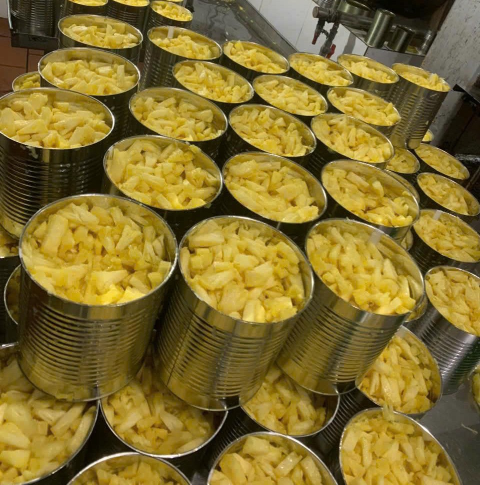 CANNED VIETNAMESE PINEAPPLE IN SYRUP A10 CAN 1840G | BULK TROPICAL FRUIT FOR WHOLESALE & EXPORT