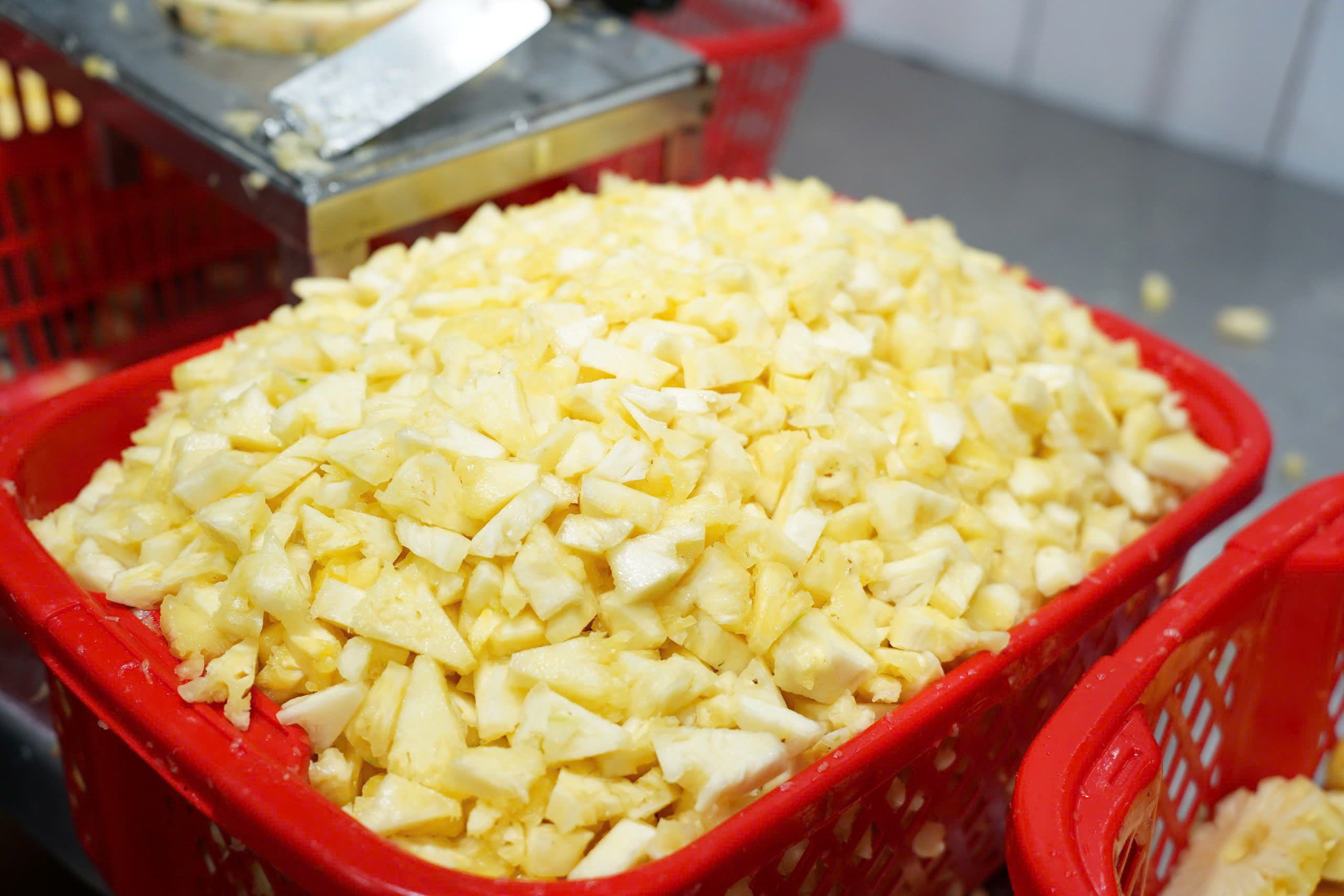 CANNED VIETNAMESE PINEAPPLE IN SYRUP A10 CAN 1840G | BULK TROPICAL FRUIT FOR WHOLESALE & EXPORT 2