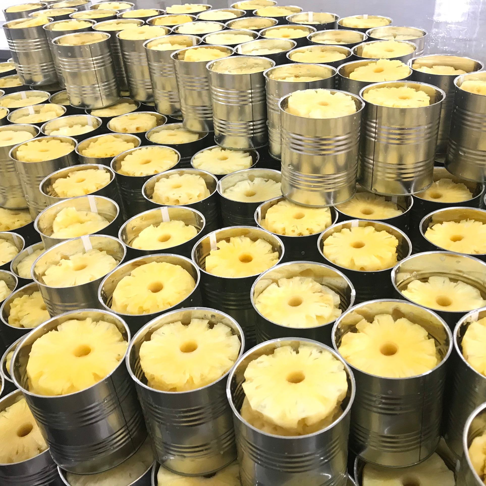 30OZ CANNED PINEAPPLE SLICES IN LIGHT SYRUP – VIETNAM | GOLDEN SWEET FRUIT AT 14–16% BRIX