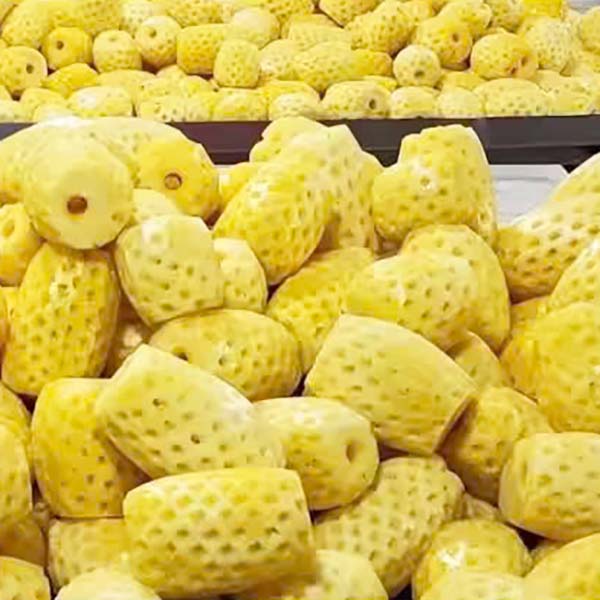 CANNED TROPICAL PINEAPPLE – VIETNAM | SWEET PINEAPPLE FOR BULK WHOLESALE & EXPORT 3