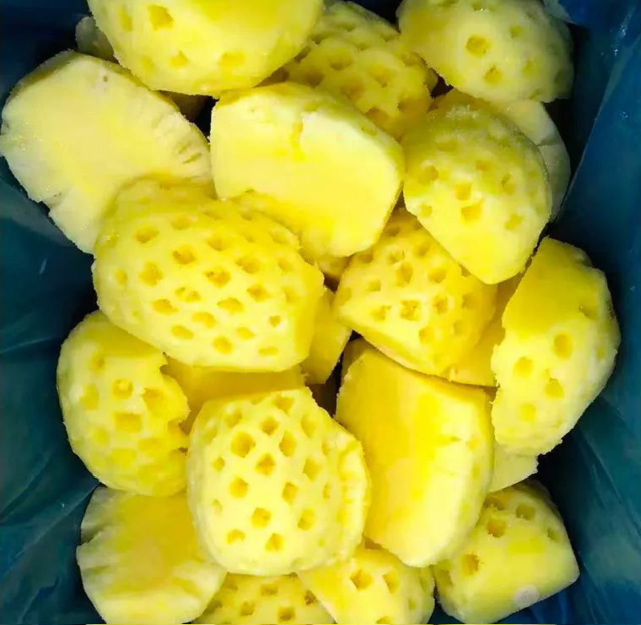 CANNED TROPICAL PINEAPPLE – VIETNAM | SWEET PINEAPPLE FOR BULK WHOLESALE & EXPORT 4