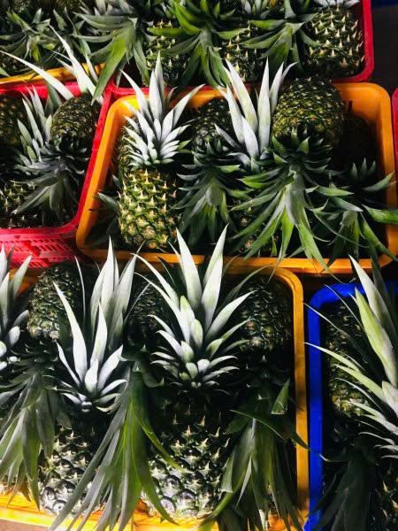 FRESH MD2 PINEAPPLE – VIETNAM | NATURALLY SWEET TROPICAL FRUIT FOR GLOBAL MARKETS 3