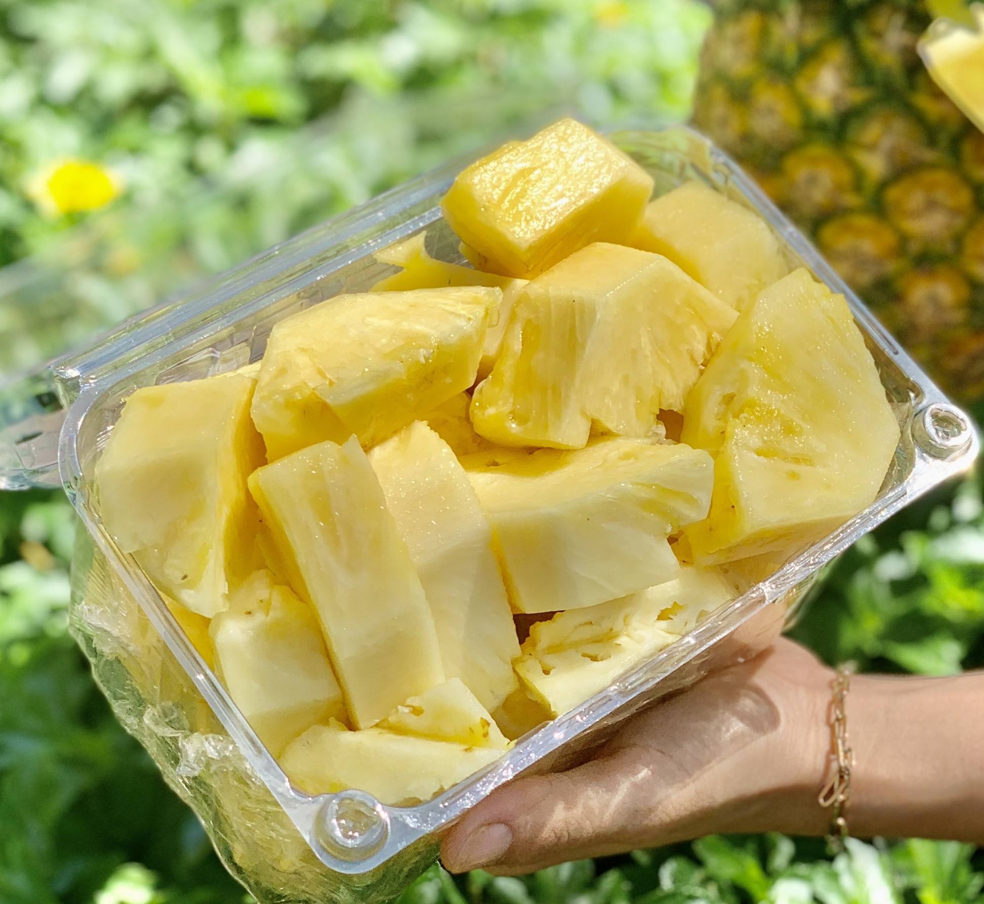 PREMIUM FROZEN PINEAPPLE – VIETNAM | HIGH-QUALITY SWEET TROPICAL FRUIT FOR WHOLESALE & EXPORT 2