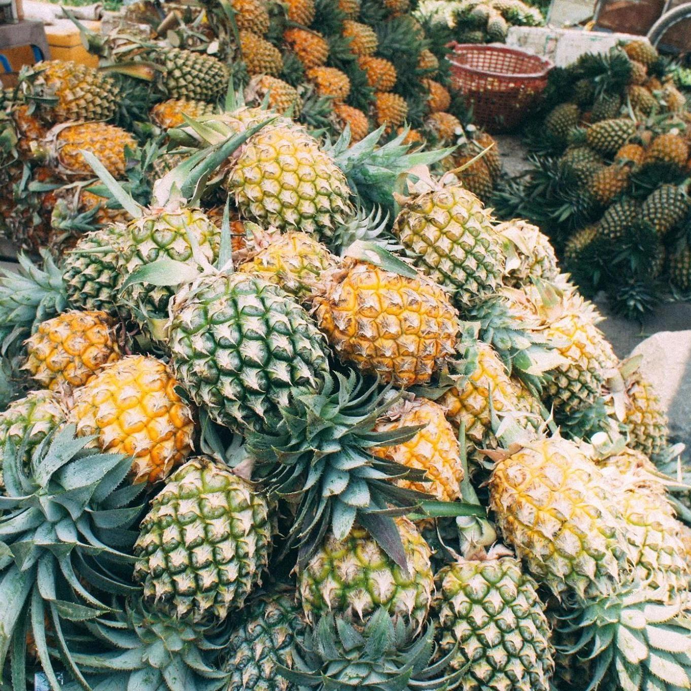 FRESH PINEAPPLE – VIETNAM | COMPETITIVE WHOLESALE SUPPLY FOR THE U.S. MARKET 3