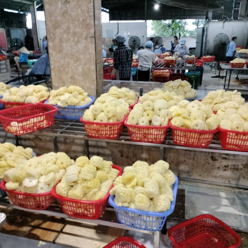 CANNED VIETNAMESE PINEAPPLE SLICES & PIECES IN SYRUP | WHOLESALE & EXPORT SUPPLY