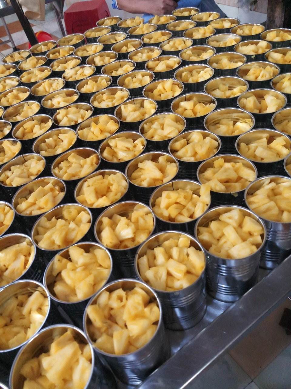 CANNED VIETNAMESE PINEAPPLE SLICES & PIECES IN SYRUP | WHOLESALE & EXPORT SUPPLY 2