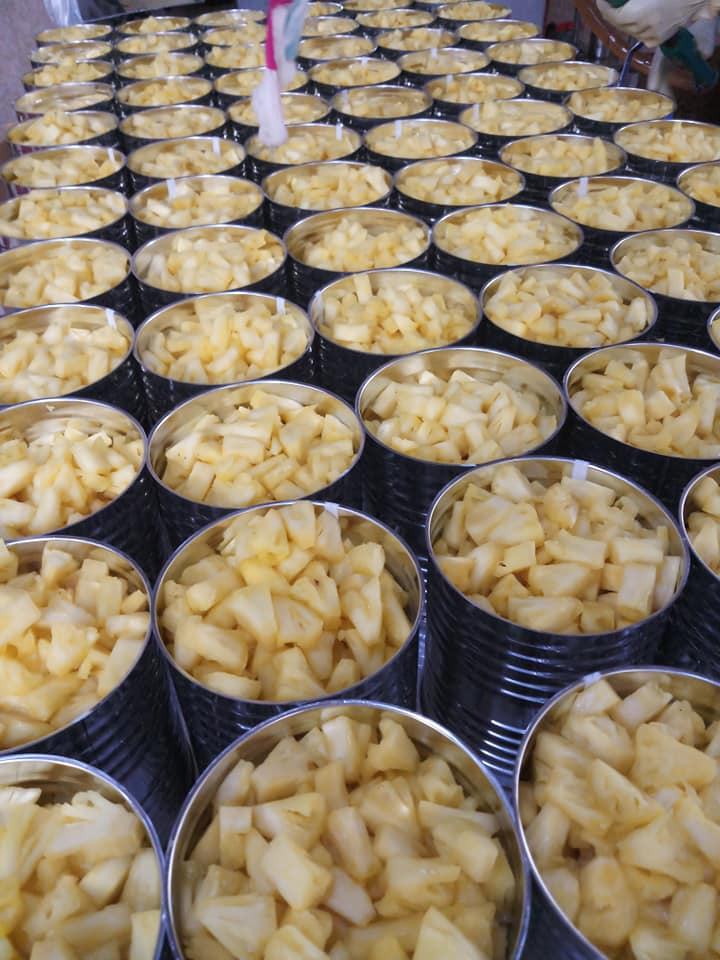 CANNED VIETNAMESE PINEAPPLE SLICES & PIECES IN SYRUP | WHOLESALE & EXPORT SUPPLY 4